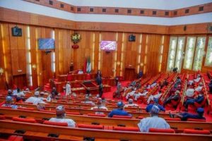Tinubu Seeks Senate Verification of Ex-FUOYE VC as Ambassador– Edugist