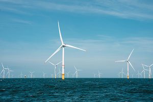 Experts urge MPs to move faster on offshore wind