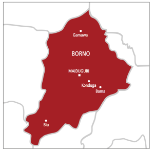 Borno records highest-ever school enrolment as student strikes 1.8 million– Edugist