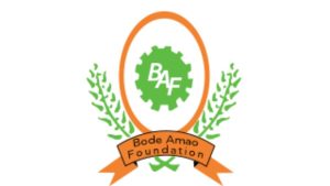 Bode Amao Structure Scholarship (BAF) For Nigerians|Step-by-Step Process